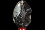 Septarian Dragon Egg Geode - Black Crystals #88523-2